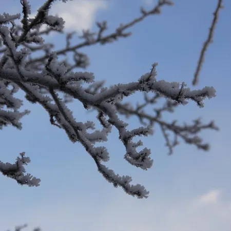 Appartamento Gaestehaus Walch *