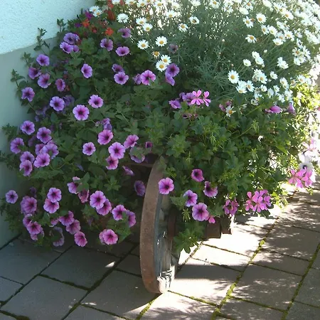 Appartement Gaestehaus Walch *