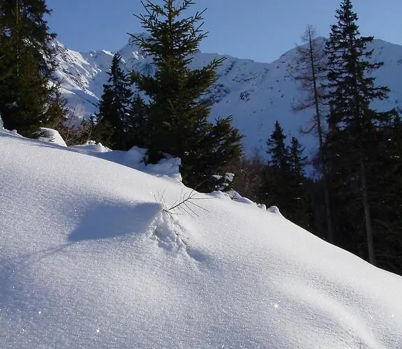 شقة Gaestehaus Walch فيندلس