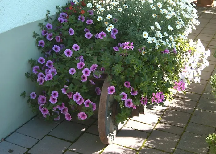 شقة Gaestehaus Walch *