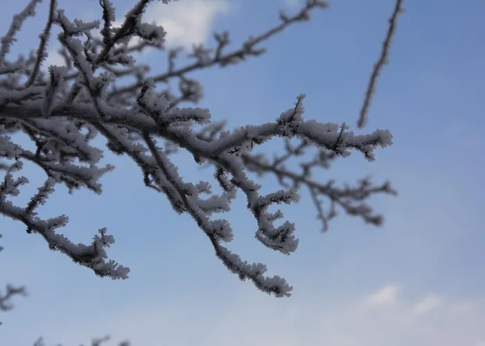 公寓 瓦尔希公寓 *